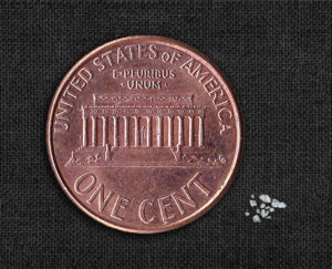 Picture of fentanyl compared to penny
