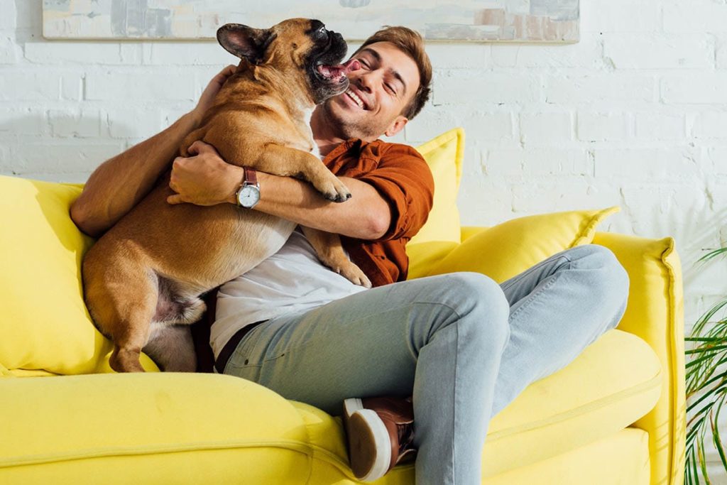 man and dog on couch learning about the benefits of iop